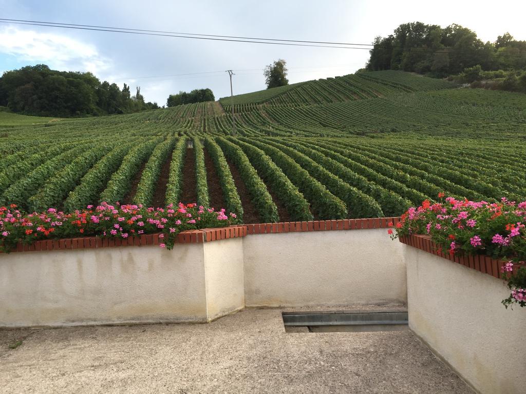 Вилла La Loge Du Vigneron Vauciennes  Экстерьер фото