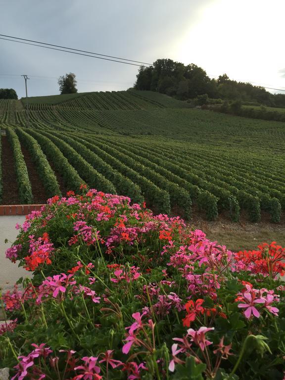 Вилла La Loge Du Vigneron Vauciennes  Экстерьер фото