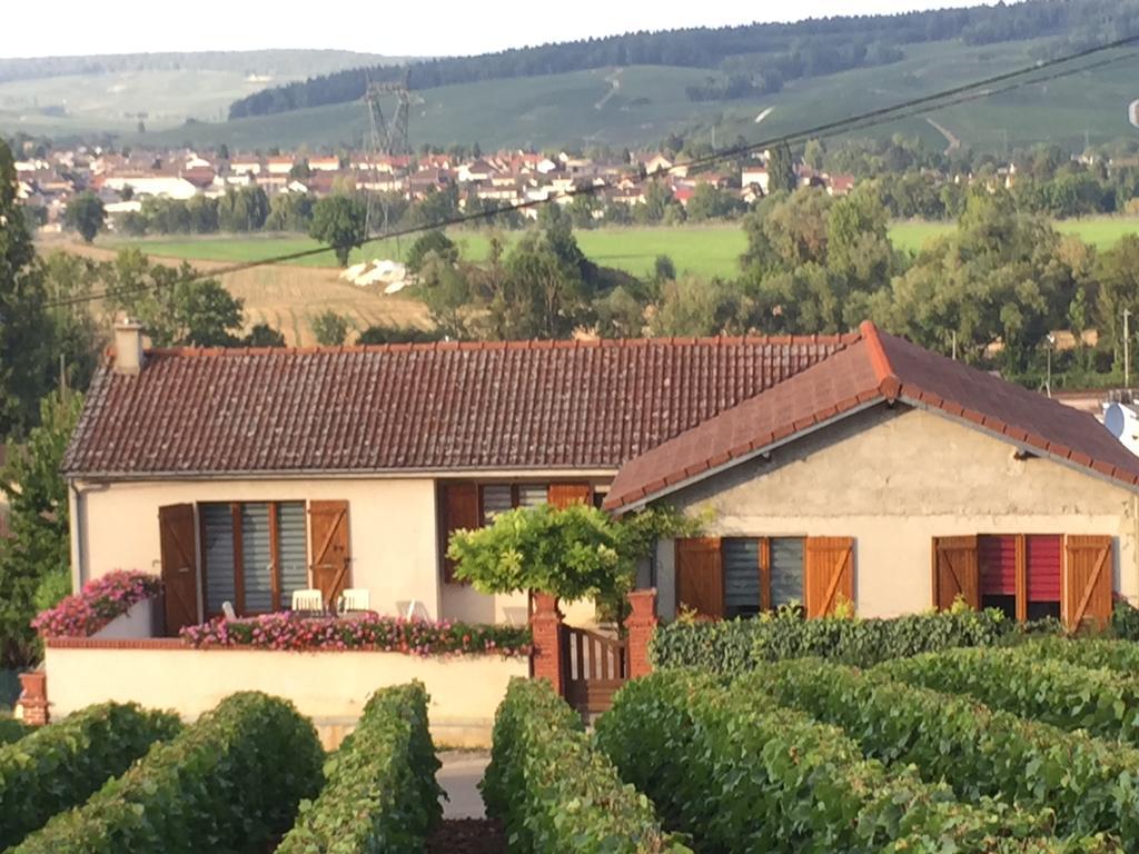 Вилла La Loge Du Vigneron Vauciennes  Экстерьер фото
